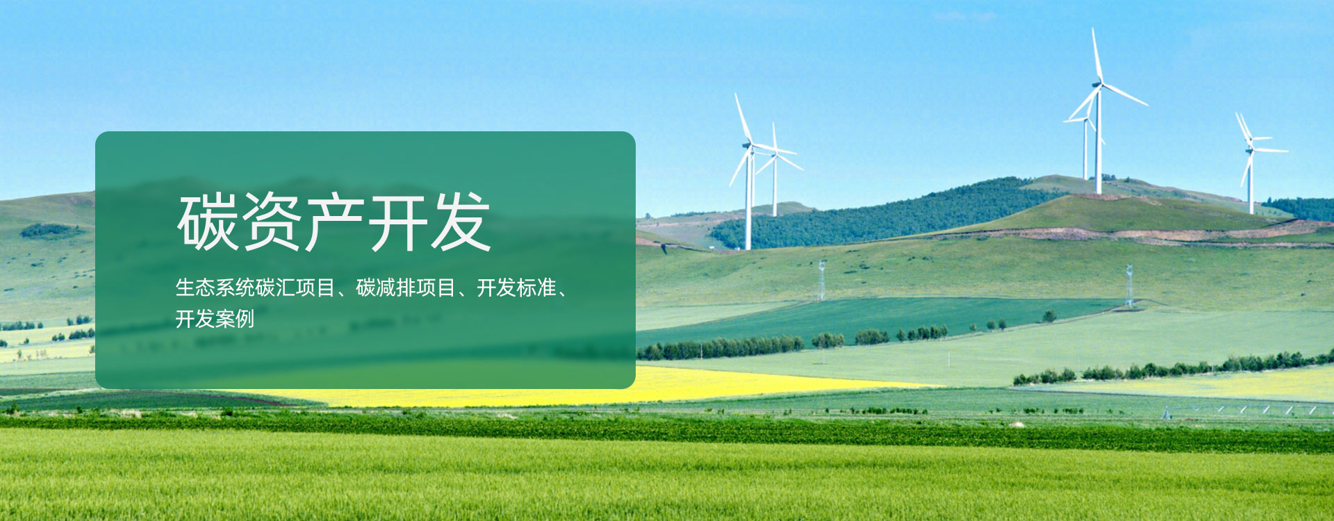 碳資產(chǎn)開(kāi)發(fā)