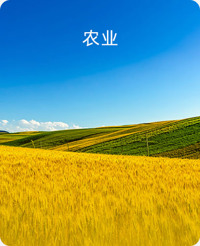 農(nóng)業(yè)