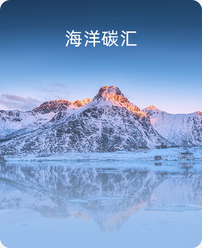 海洋碳匯