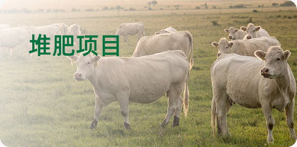 堆肥項目